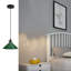 Faris 1 - Light Black Pendant-1537973458