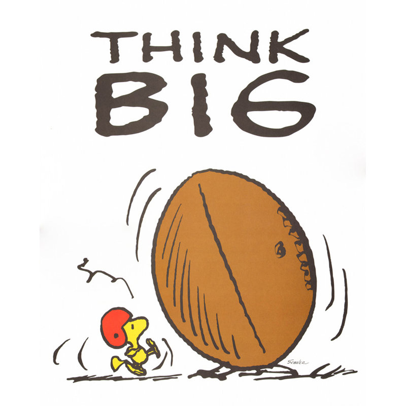 Think Big IMA-S834, H 18 po x l 14 po