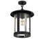 Fulton 1 - Light Semi Flush Mount