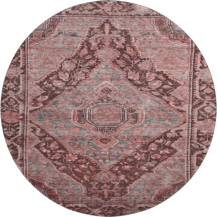 Premium Machine Washable Lucchesi AMF1761 Border Rug