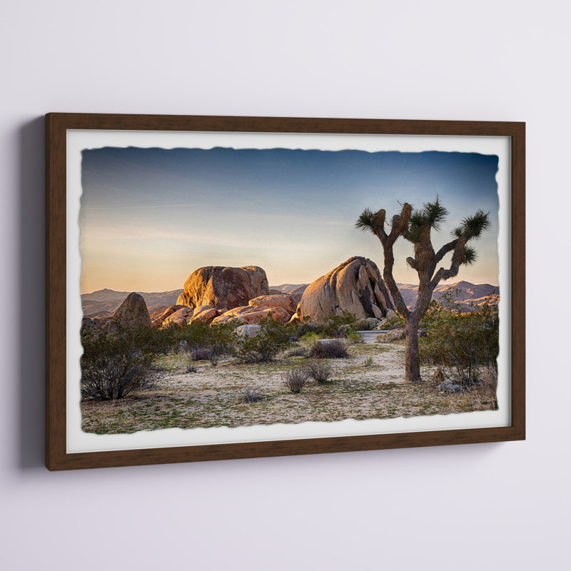 Mojave Native Tree par Marmont Hill - reproduction de photo sur papier encadrée, H 20 po x l 30 po x 1,5 po
