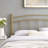 Abigail Metal Headboard-943854918-943854919