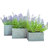 3 Piece Merton Acanthus Rectangular Planters, 19.75"