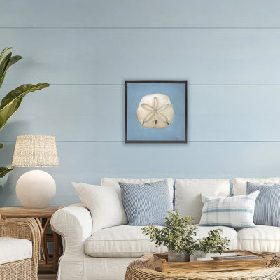 Soft Sea Sand Dollar Floating Frame, design by Julia Purinton