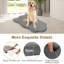 Tattnall Pet Bed-3505042