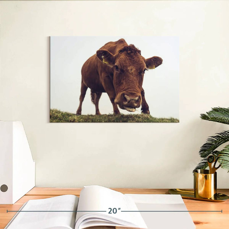 Chocolate Cow Face, 8" H x 12" W