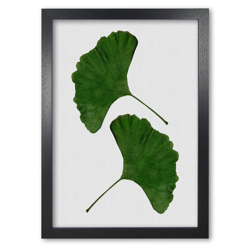 Ginkgo Leaf II - Print, 30 cm H x 21 cm W x 5 cm D, Black Grain Frame