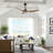 Artisha 50'' Ceiling Fan-684973090