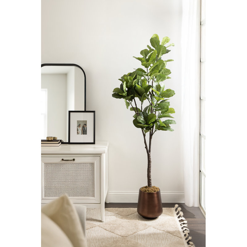 Figuier en figuier avec pot Portell, Brun, H 70,87 po x l 27,56 po x P 23,62 po