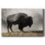 Toile tendue Geyser Basin-Gallery-1773927949