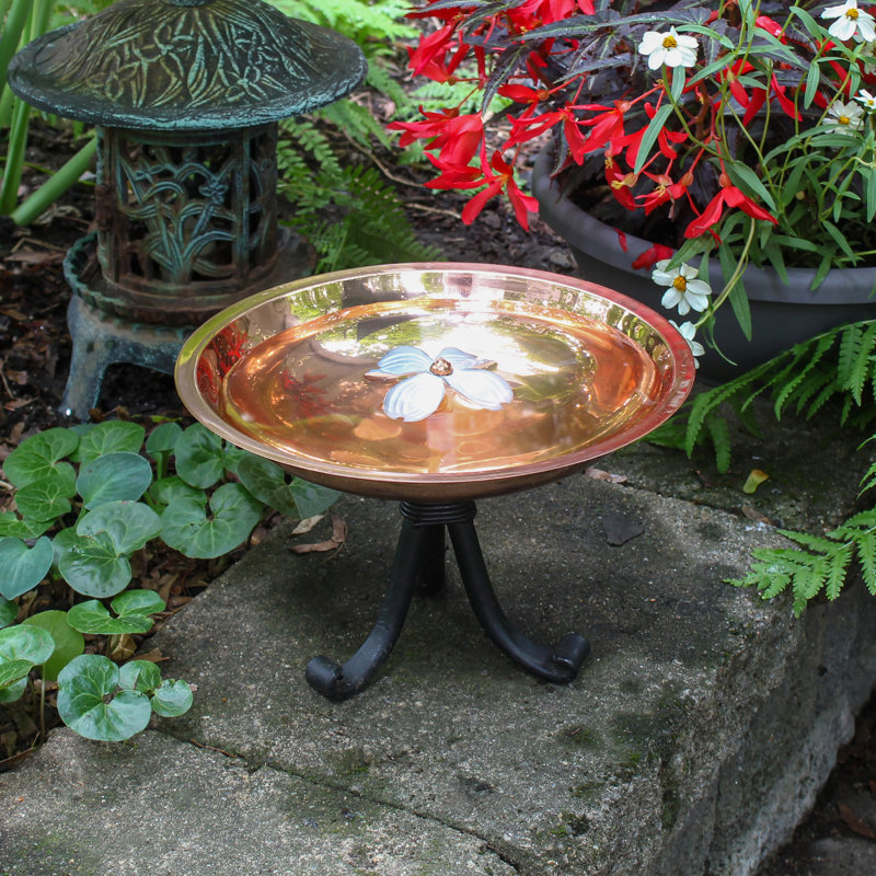 Bain d'oiseaux avec trépied Dogwood