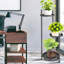 Metal Plant Stand