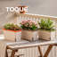 Plant Stand