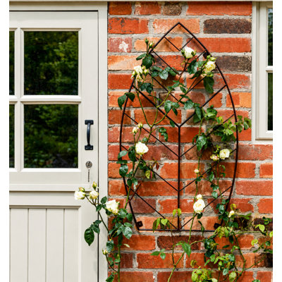 Outdoor Leaf Trellis