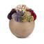 Elias Sedum Arrangement-960222570