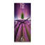 Horloge murale campagnarde-578269923