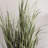 36" Artificial Green Potted Ryegrass