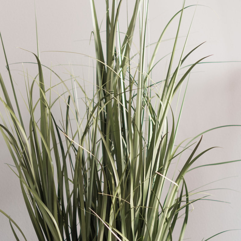 36" Green Artificial Ryegrass in Black Plastic Pot