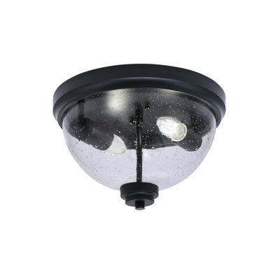 Gesine 12" Flush Mount, 2-Bulbs, Shown In Matte Black Finish With Clear Bubble Glass