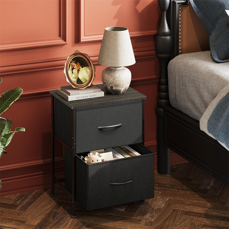 Black 2-Drawer Dresser – Single Row Storage Chest
