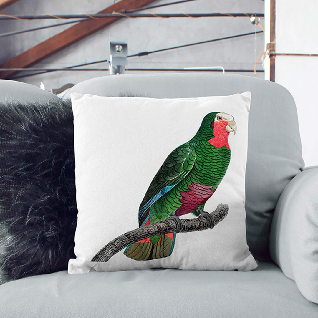 A Cuban Amazon Parrot by F. Levaillant Cushion with Filling