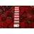 Natalyn Red Rug 3'7" x 9'9"