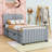 Knotts Twin Upholstered Platform Bed with Headboard and Twin Trundle-1200341076