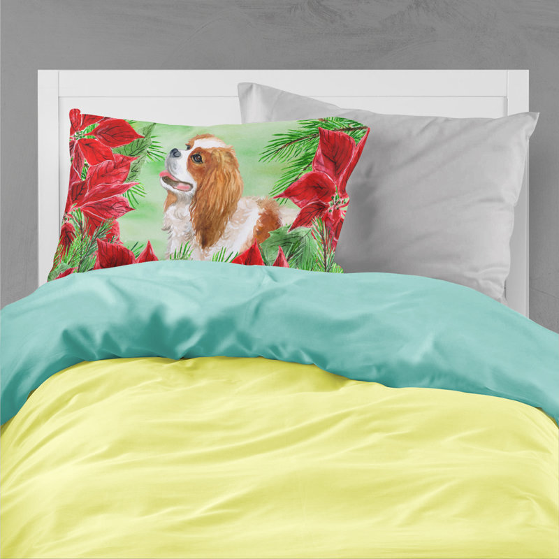 Microfiber, Cavalier Spaniel
