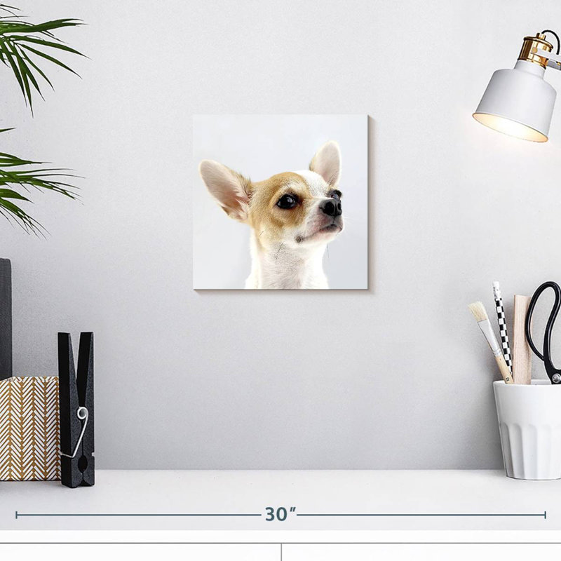 Crowle Musing Chihuahua, 10" H x 10" W