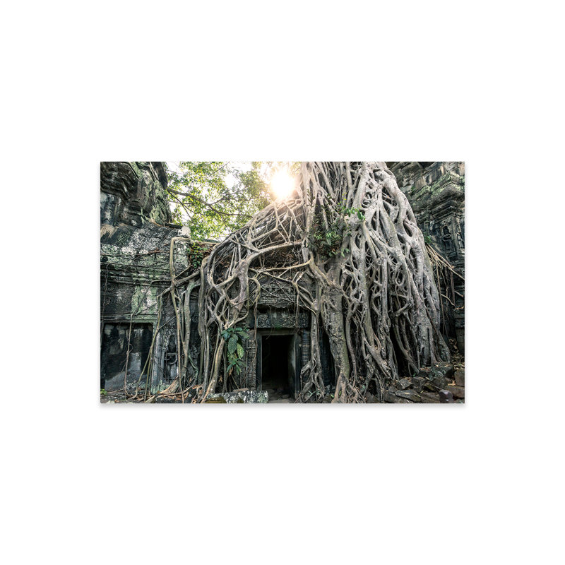 Temple dans la jungle, Angkor Wat, Cambodge sur plastique / acrylique par Matteo Colombo