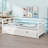 Daybed With Trundle-18869108