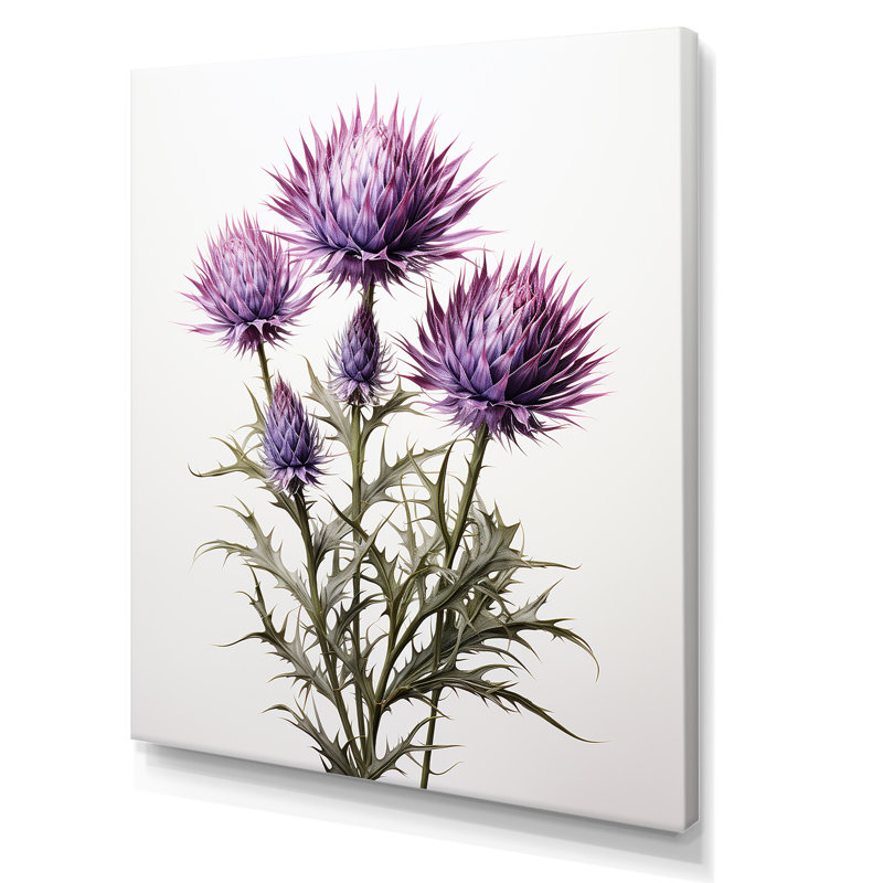 Rustique mauve et Whitethistle - chardon, art mural, H 20 po x l 12 po x P 1 po, Toile tendue