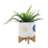 S/2 5/8" Funky Planter W/ Stand