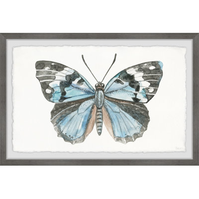 Wild Butterfly by Parvez Taj - Single Picture Frame Painting