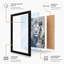 Noble Lion Modern - Framed Print-423902954-423902958