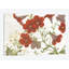 «Summer Salpiglossis Cottage» par Wild Apple Portfolio - impression sur toile tendue-27702313-72507403-72507397