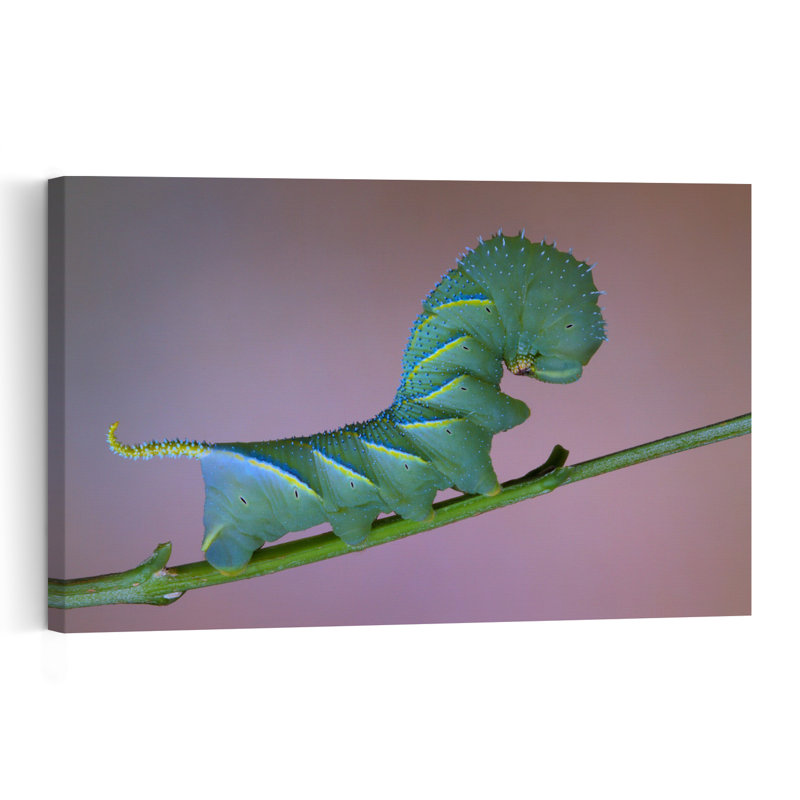 Chenille verte éclatante, illustration murale représentant un animal vibrant au cœur de la nature, H 16 po x l 24 po