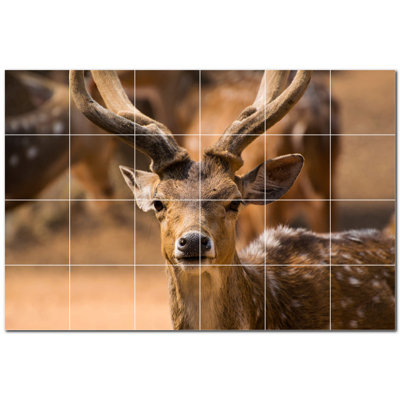 12 x 12