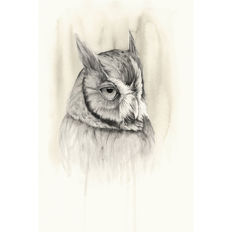 Timberland Animals IV by Grace Popp - Wrapped Canvas Print, 76cm H x 51cm W