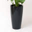 Pot de fleurs en plastique avec réservoir-87829422