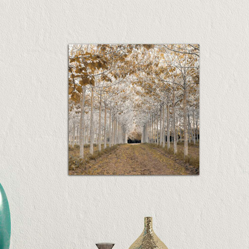 Print, 45.72 cm H x 45.72 cm W, No Framed