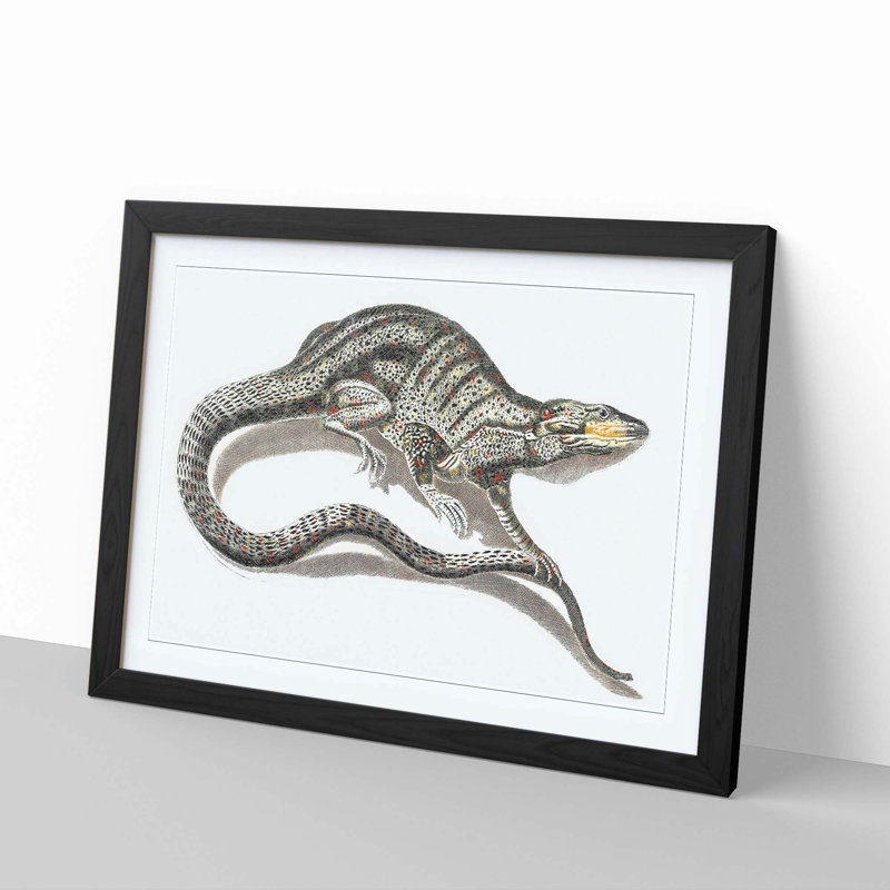 A Lizard by Johan Teyler - Framed Print, 35cm H x 50cm W x 2cm D, Black
