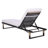 Arman Lounger with Cushion-1456591287