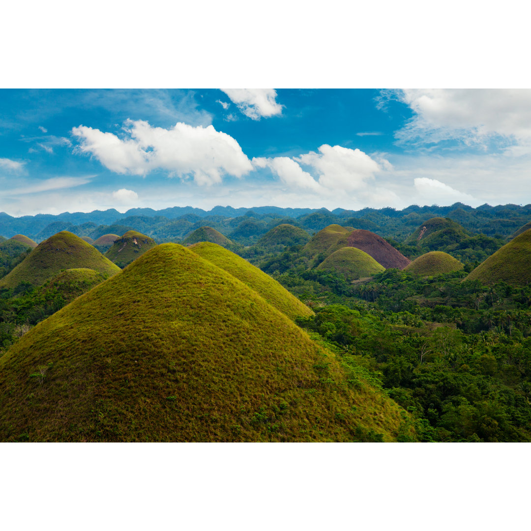 Chocolate Hills von Danilovi - Kunstdrucke auf Leinwand