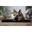 Matelas lavable 100% pour chien Snoozer-1211443071-1211443068