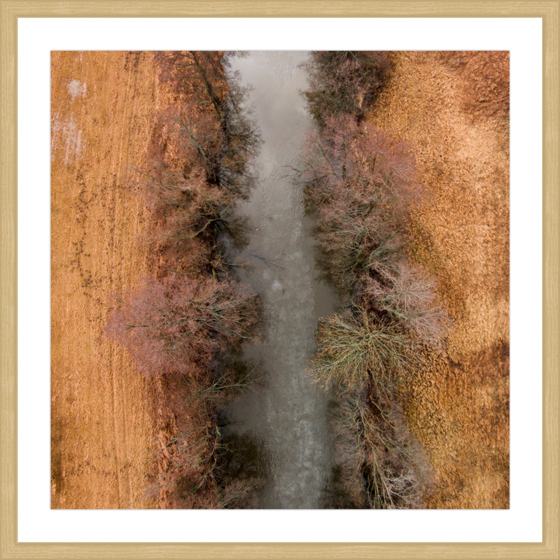 Karolis Janulis - Single Picture Frame Print, 41 cm H x 41 cm W x 3.81 cm D