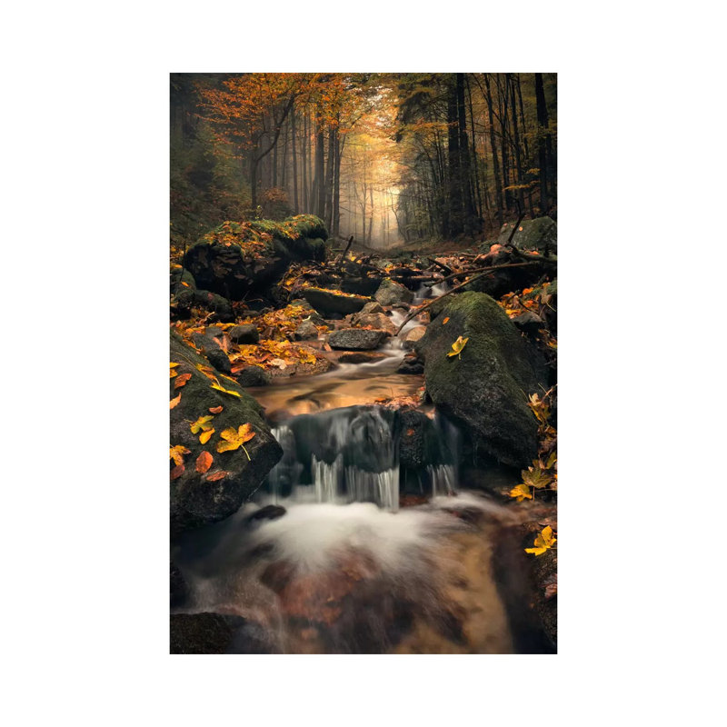 «Autumn Jungle» par Stefan Hefele - reproduction de photo, H 12 po x l 8 po x P 0,75 po, Toile tendue