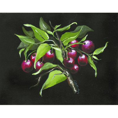 " Cherry Branch "