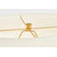 Pente 27 Table Lamp-1581891643