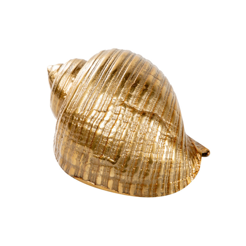 Rough Nickel Shell 22x16x12 Cm, Gold